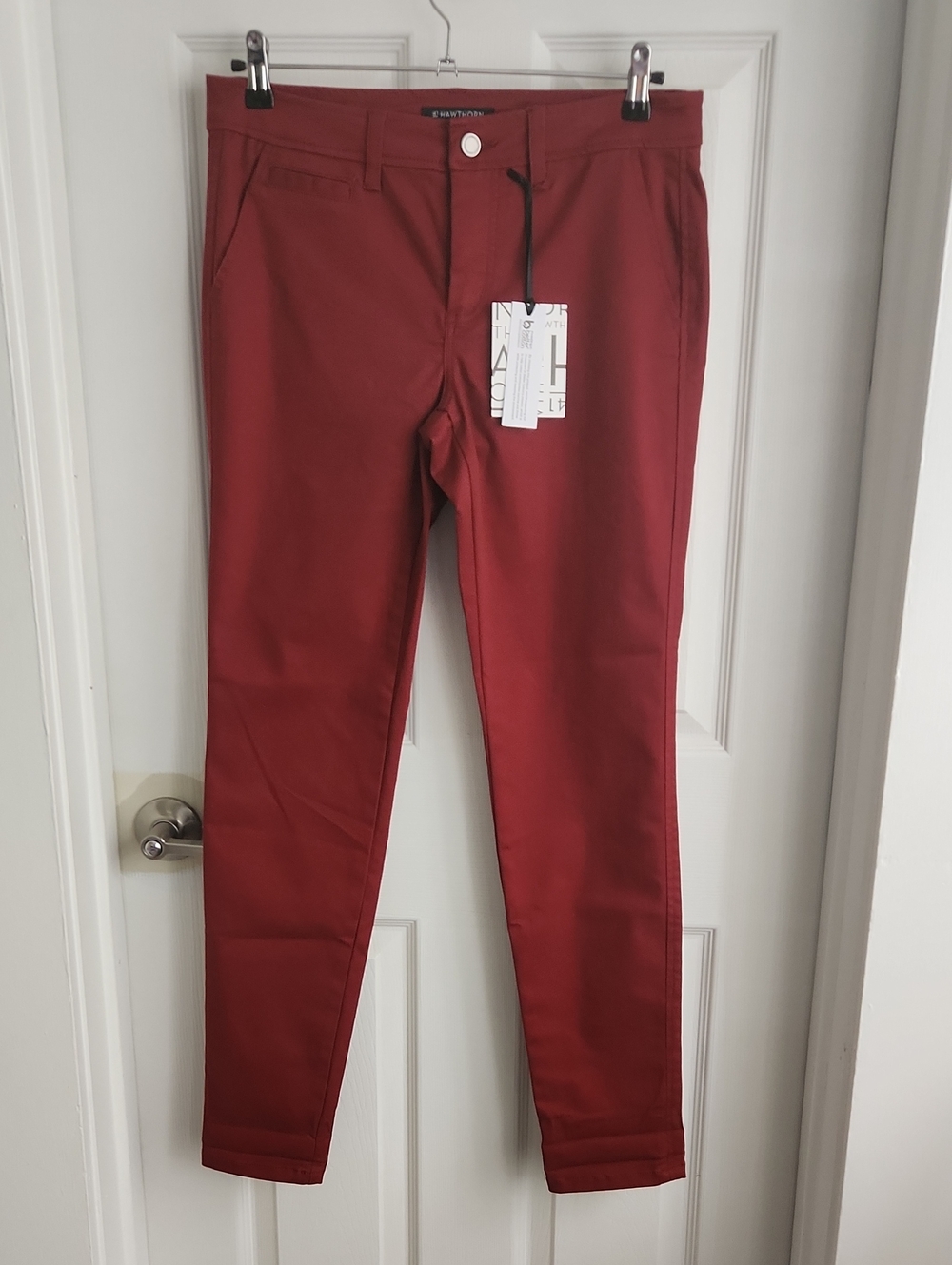 41 Hawthorn Straight Leg Pants in Brick Red